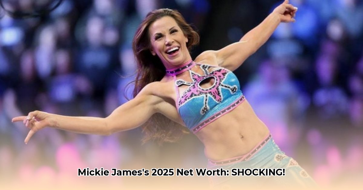 mickie-james-net-worth